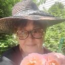 ���������� �������, ���� ������� �������, 70 ���, ������������ ��� c�������� ���������