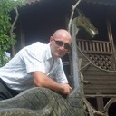 ,   , 41 ,   