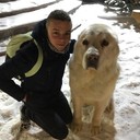 ���������� ������, ���� ������� ������, 31 ���, ������������ 