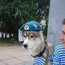  ,   , 34 ,   ,   , c , 