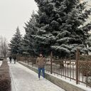 ���������� ���������, ���� ����� Elcan, 22 ����, ������������ ��� ������, ����� � ���������