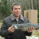   ,   , 52 ,   