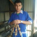 ���������� �����������, ���� ������� ����, 44 ����, ������������ ��� ������, ����� � ���������, c�������� ���������