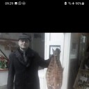  ,   , 51 ,     , c 
