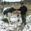  ,   , 71 ,     , c 
