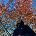 ���������� ������, ���� ������� ����, 29 ���, ������������ ��� ������, ����� � ���������