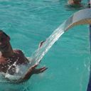 ���������� ����, ���� ������� �������, 40 ���, ������������ ��� ������, ���������