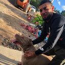 ���������� �����-���������, ���� ������� ���, 27 ���, ������������ ��� ������, ����� � ���������, ���������