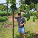 ���������� ������, ���� ������� A����, 44 ����, ������������ ��� ������, ����� � ���������, c�������� ���������, ���������