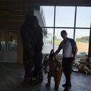 ���������� ���������� �����, ���� ������� ������, 42 ����, ������������ ��� ������, ����� � ���������, c�������� ���������, ���������