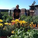 ���������� �������, ���� ������� �������, 38 ���, ������������ ��� c�������� ���������, ���������