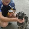  ,   , 44 ,  