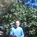 ���������� �����������, ���� ������� ����, 43 ����, ������������ ��� ������, ����� � ���������, c�������� ���������