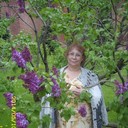 ���������� ������, ���� ������� ����, 70 ���, ������������ 