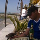 ���������� ���������, ���� ������� ��������, 43 ����, ������������ ��� ������, ����� � ���������, c�������� ���������