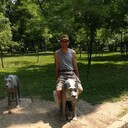 ���������� ���������, ���� ������� ��������, 43 ����, ������������ ��� ������, ����� � ���������, c�������� ���������, ���������