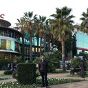  -,   , 33 ,   ,   , c 