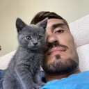 ���������� ���������, ���� ������� ����, 31 ���, ������������ ��� c�������� ���������