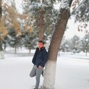 ,   King_Shakh, 24 ,   ,   