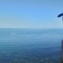 ���������� ���������, ���� ������� �����, 38 ���, ������������ ��� ������, ����� � ���������