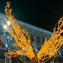 ���������� �����, ���� ������� ���������, 35 ���, ������������ ��� ������, ����� � ���������