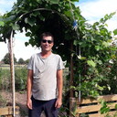 ���������� ���, ���� ������� �����, 38 ���, ������������ ��� ������, ����� � ���������