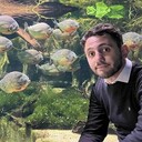  ,   Alex, 38 ,     , c 