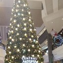 ���������� �����������, ���� ������� �����, 40 ���, ������������ ��� ������, ����� � ���������, c�������� ���������