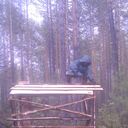 ���������� �������, ���� ������� ��������, 33 ����, ������������ ��� ����� � ���������, c�������� ���������