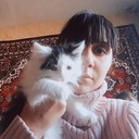 ���������� ������, ���� ������� �������, 37 ���, ������������ ��� ����� � ���������, c�������� ���������