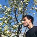 ���������� ����, ���� ������� Romantik, 28 ���, ������������ ��� ������, ����� � ���������, c�������� ���������