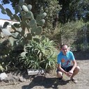 ���������� ��������, ���� ������� ������, 39 ���, ������������ ��� ����� � ���������, c�������� ���������