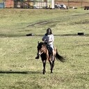 ���������� ����������, ���� ������� ������, 38 ���, ������������ ��� ���������