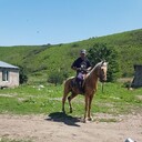 ���������� ������, ���� ������� �������, 37 ���, ������������ ��� ������, ����� � ���������