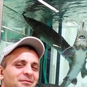 ���������� ������, ���� ������� ����, 37 ���, ������������ 