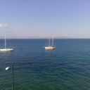 ���������� Halle, ���� ������� ��������, 55 ���, ������������ ��� ������, ����� � ���������, c�������� ���������, ���������