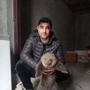 ���������� ���������, ���� ������� ����, 35 ���, ������������ ��� ������, ����� � ���������, c�������� ���������, ���������