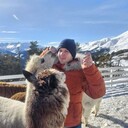  ,   , 26 ,   ,   , c 