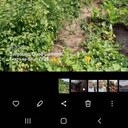 ���������� ������, ���� ������� �����, 47 ���, ������������ ��� ������, ����� � ���������, c�������� ���������, ���������