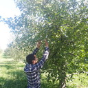  ,   Elnur, 38 ,   ,   , c 