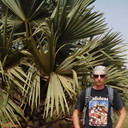 ���������� ������ ���, ���� ������� ����, 49 ���, ������������ ��� ����� � ���������, c�������� ���������