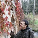 ���������� ����, ���� ������� �������, 49 ���, ������������ ��� ������, ����� � ���������, c�������� ���������