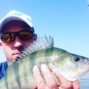 ���������� �����, ���� ������� ������, 40 ���, ������������ ��� ������, ����� � ���������