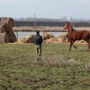 ���������� ���������, ���� ������� ������, 51 ���, ������������ ��� ������