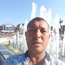 ���������� �����������, ���� ������� Amrillo, 50 ���, ������������ ��� ������, ����� � ���������