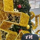  ,   Dgekson, 45 ,     , c 