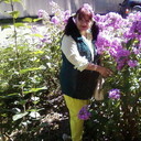  ,   , 66 ,   ,   