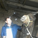 ���������� ������, ���� ������� ����, 47 ���, ������������ ��� ������, ����� � ���������, c�������� ���������, ���������