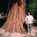  ,   TALGAT, 63 ,   ,   , c 