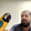  ,   Ned, 49 ,     , c 